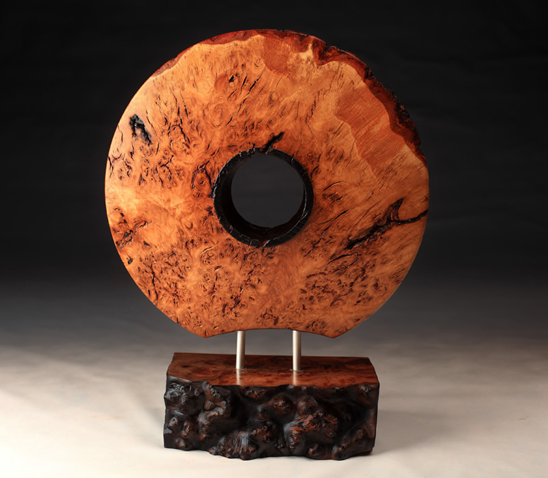 Tree of the Year Award Oak Burr